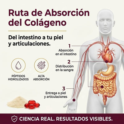 Multi Colágeno Peptídico con Biotina y Vitamina C – Piel, Cabello, Uñas y Articulaciones, 10,888mg