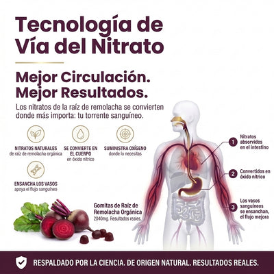 Gomas de Raíz de Remolacha Orgánica – Óxido Nítrico, Circulación y Rendimiento, 2040mg